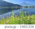 河口湖と富士山-7461