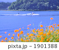 河口湖の水上スキー-17133