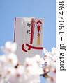 桜と祝儀袋