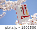 桜と祝儀袋