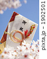 桜と祝儀袋