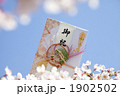 桜と祝儀袋
