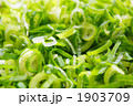 刻み葱