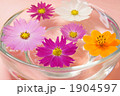1904597