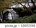 1905398