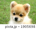 1905698