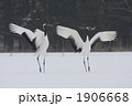 1906668