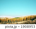 1908953
