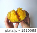 家庭の焼き芋　安納芋
