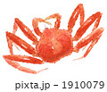 1910079