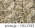 1911583