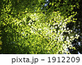 1912209