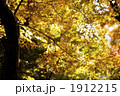 1912215