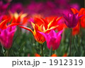 1912319