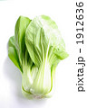 青梗菜