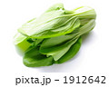 青梗菜