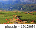 紅葉の乗鞍高原