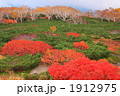 紅葉の乗鞍高原