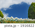 1916822
