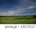 1917017