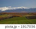 1917036