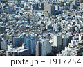 1917254