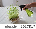 節約エコライフ