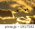 黄金色の空
