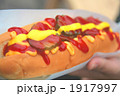 ホットドック