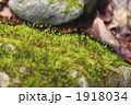 1918034
