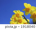 1918040
