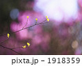 1918359