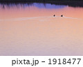 1918477