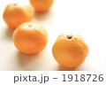 福岡県産早生みかん