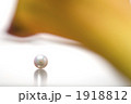 真珠と花びらのイメージ
