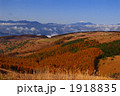 霧ヶ峰の紅葉と御岳冠雪
