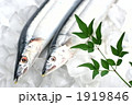 サンマ
