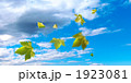 青空に舞い散るプラタナスの葉　合成