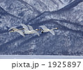 1925897