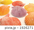ヒオウギガイ