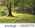 森の秘密