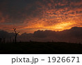 素材ナンバー 1926671 : 「朝焼け空」
