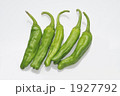 1927792