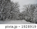 北海道の雪道