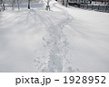 雪の散歩道