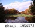 秋の大沼国定公園