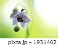 1931402