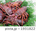 伊勢海老