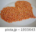 レンズ豆　ハート