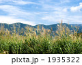 箱根のススキの花と空